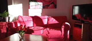 Bio Land Athens - Atene - 7