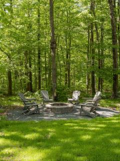 Chic Cabin with Hot Tub and Fire Pit - 7