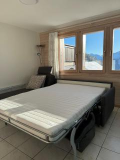 Artus 2 - Bettmeralp - 9