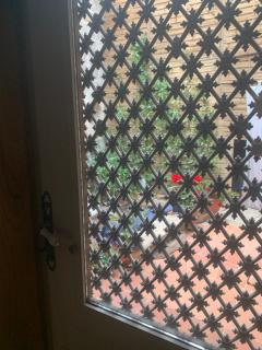 Buisson gîte et chambre d'hôte - 7