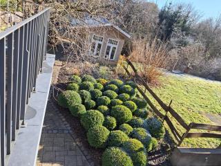 Ferien-Appartement - 9