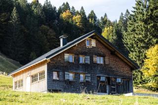 Vorsäßhütte Metzler - Schwarzenberg - 0