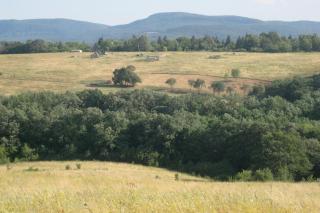Harangvirag 36 Apartman - Verőce - 6