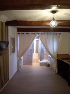 Studio magnolia - Sainte-Anastasie-sur-Issole - 4