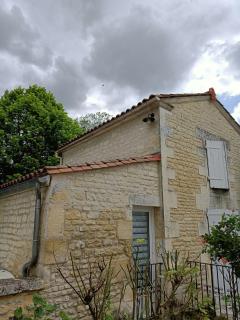 Les vieux platanes - Rouillac - 9