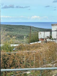 Elaiona Country Home - Xamoudhokhórion - 8