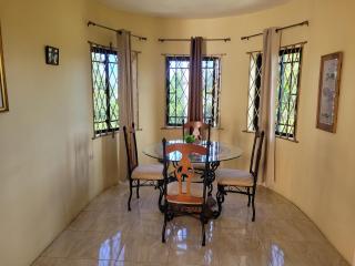 Dw apartments with garage and hot tub - Mandeville - 7