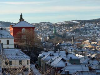 Panorama Penthouse, City Center, Free parking, Experienced host - Trondheim - 4