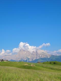 Unterstandroahof - Kastelruth - 4