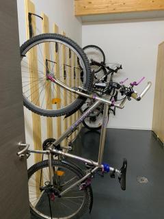 L'écureuil des lacs - 5