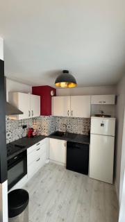 Charmant appartement de 46 m2 au cœur de Décines - Décines-Charpieu - 3