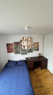 Charmant appartement de 46 m2 au cœur de Décines - Décines-Charpieu - 2