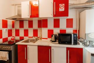 Luxury Radox Studio Buzau City Center - 1
