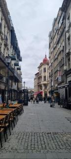 Central Retreat Apartments Old Town - Bucharest - 5