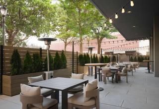 Sonesta White Plains Downtown - White Plains - 5