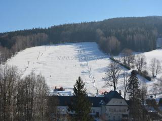 Apartmány Lesní klid - 4