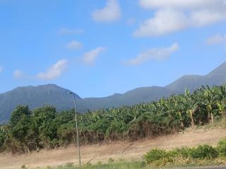 joli haut de villa allée dumanoir - 5