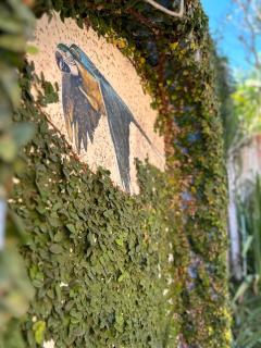 Casa Maria Fulô - 5