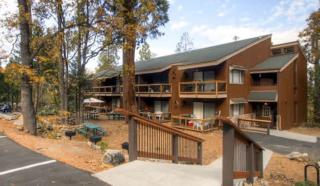 Treetop Condo in Yosemite-Sleeps 6-Balcony - Yosemite West - 9