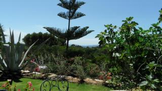 Villa Carpe Diem - Le Lavandou - 0