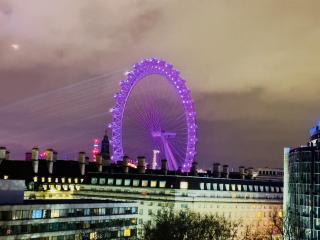 Prime Central Location by London Eye - Direct View - Entire Flat for 3 Adults & 1 Child - 1