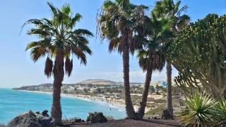 Casa Salty - Costa Calma - 7