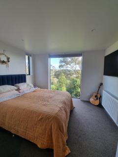 New home with tree top and ocean views - Dunedin - 6