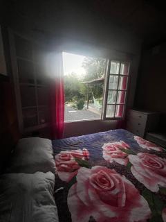 EntreArboles La Granja - 8