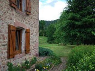 Superbe Ferme Rénovée avec Cheminée, Wifi, et Jeux Extérieurs près de Gérardmer et Épinal - FR-1-589-28 - 1