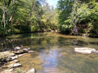 Cove Creek Cabin & Preserve - Rutherfordton - 7