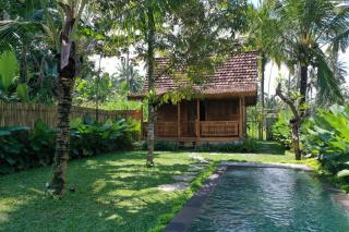 Uma Harum Sari Villa - Tampaksiring - 0