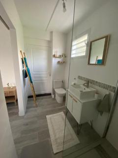 Chambre double bas de Villa - Fort-de-France - 4
