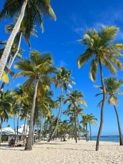 Le Saphir - Vue piscine, Terrasse, Destreland - 8