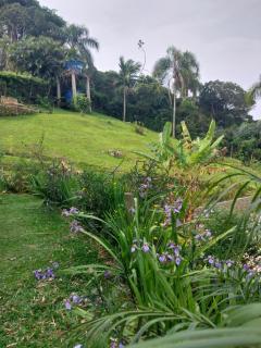 Morada Sunset Vista Para o Mar - 8