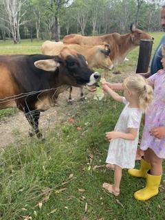 3 bed cottage nestled at centre of 21 acres in Blackbutt - 8