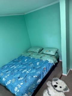 Barrio residencial - Punta Arenas - 3