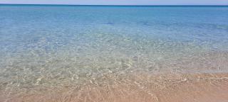 VILLA PERLA del SALENTO con piscina - 7