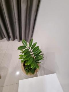 Căn hộ Studio S901 Vinhomes Grand Park - Long Bình - 5