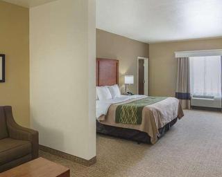Comfort Inn - Midland - 7