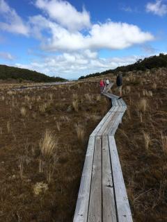 Mountain View Apartments - Ohakune - 1