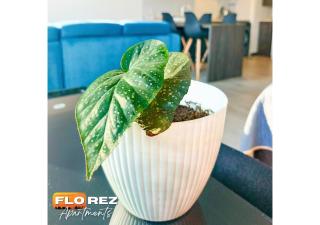 FLOREZ APT7 - Moderno, céntrico con calefacción - Piso 18 - 4