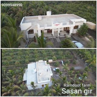 Ramdoot Farm - Sasan Gir - 9