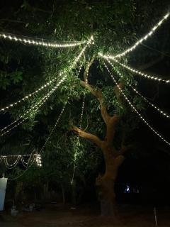 Red Mount Homestay - Kottakupam - 3
