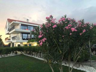 Villa IVIA - Mándra - 3