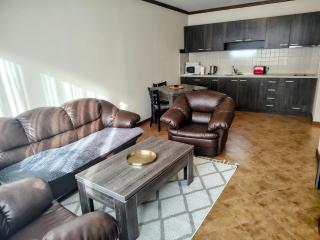 Spacious apartment in St Ivan Rilski - Bansko - 5