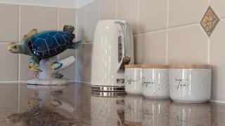 Coastal Comfort - 1 bedroom beachfront apartment - 1