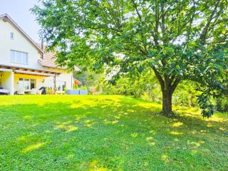 Exklusives 5 Zimmer Haus an bester Lage nähe Baden Zürich - Kirchdorf - 9