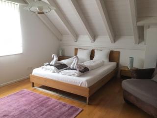 Exklusives 5 Zimmer Haus an bester Lage nähe Baden Zürich - Kirchdorf - 3