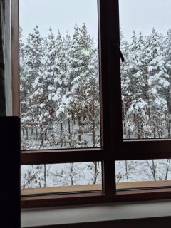 Cozy forest view studio in a SPA hotel - Bansko - 4