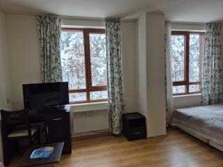Cozy forest view studio in a SPA hotel - Bansko - 1